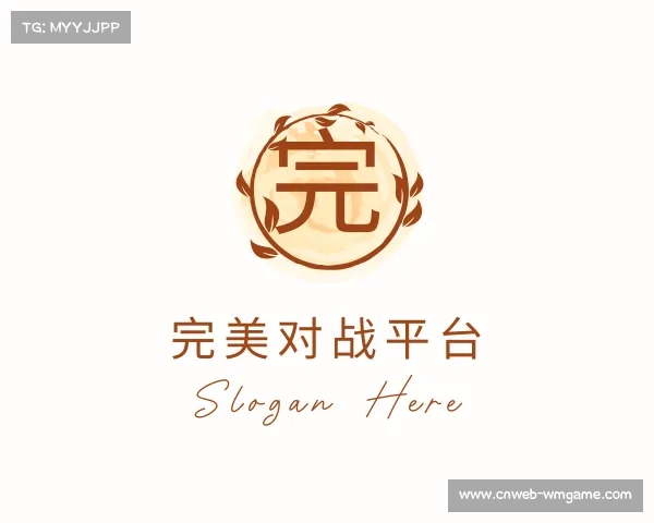 认识完美对战平台